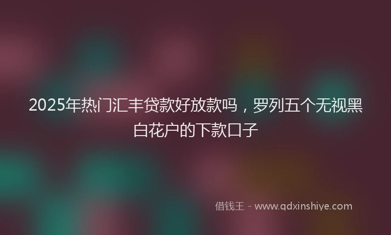 2025年热门汇丰贷款好放款吗，罗列五个无视黑白花户的下款口子