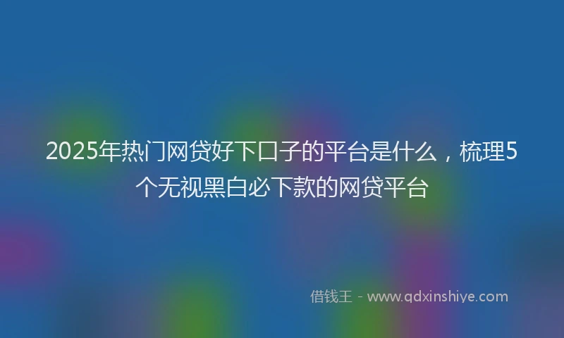 2025年热门网贷好下口子的平台是什么，梳理5个无视黑白必下款的网贷平台