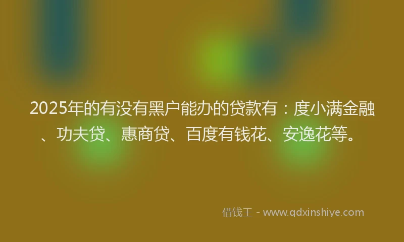 2025年的有没有黑户能办的贷款有：度小满金融、功夫贷、惠商贷、百度有钱花、安逸花等。