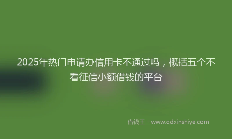 2025年热门申请办信用卡不通过吗，概括五个不看征信小额借钱的平台