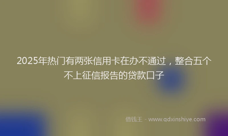 2025年热门有两张信用卡在办不通过，整合五个不上征信报告的贷款口子