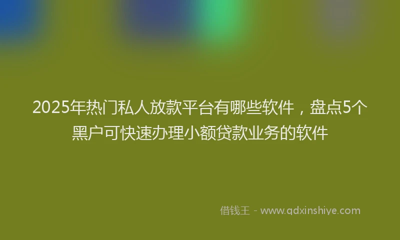 2025年热门私人放款平台有哪些软件，盘点5个黑户可快速办理小额贷款业务的软件