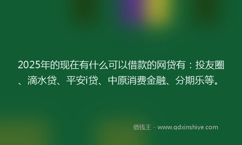 2025年的现在有什么可以借款的网贷有：投友圈、滴水贷、平安i贷、中原消费金融、分期乐等。