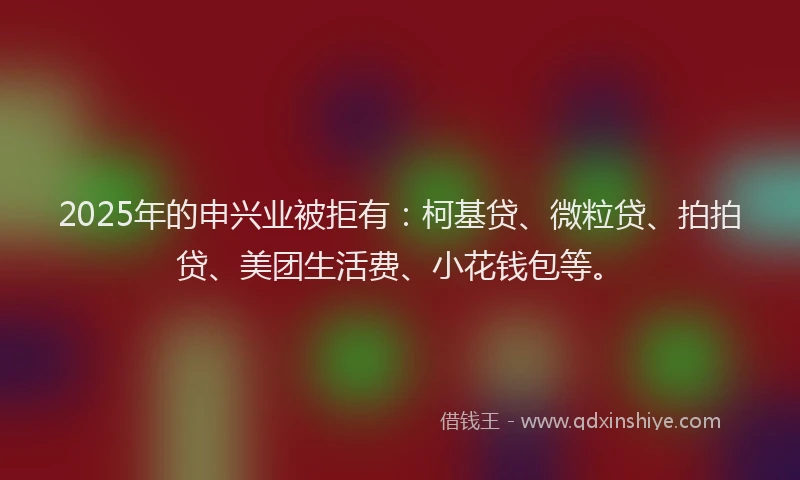 2025年的申兴业被拒有：柯基贷、微粒贷、拍拍贷、美团生活费、小花钱包等。