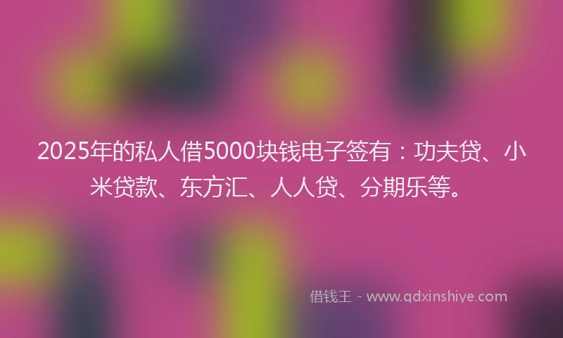 2025年的私人借5000块钱电子签有：功夫贷、小米贷款、东方汇、人人贷、分期乐等。