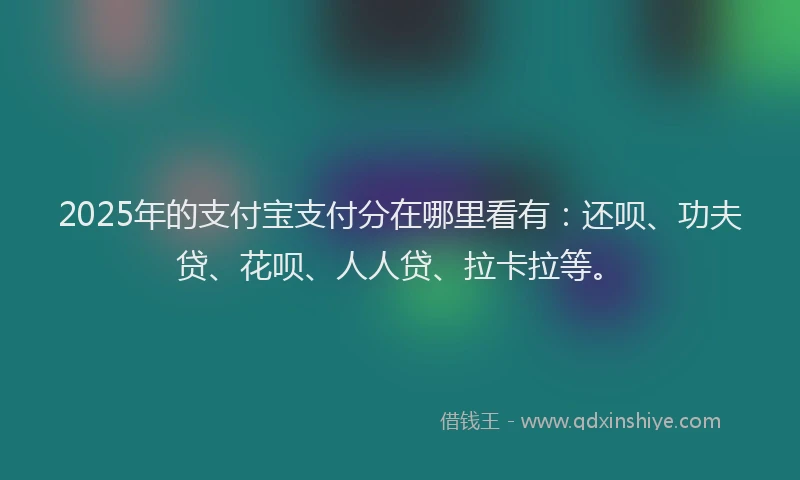 2025年的支付宝支付分在哪里看有：还呗、功夫贷、花呗、人人贷、拉卡拉等。