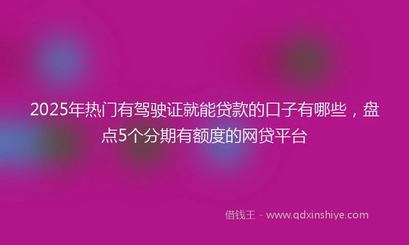 2025年热门有驾驶证就能贷款的口子有哪些，盘点5个分期有额度的网贷平台