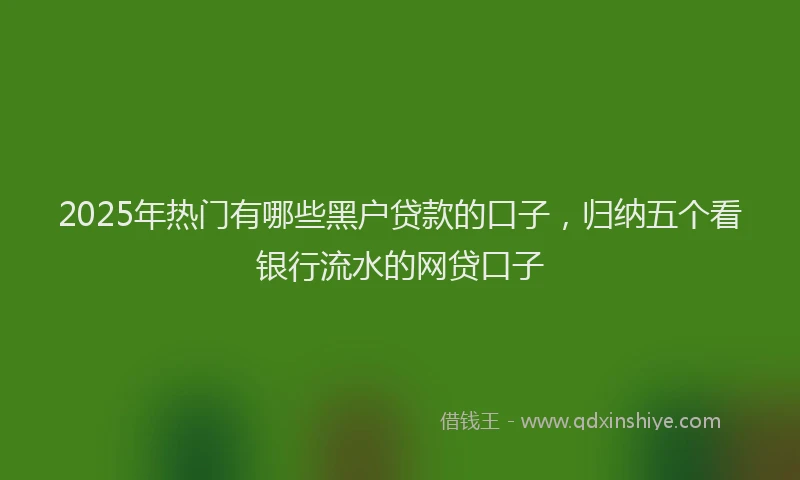 2025年热门有哪些黑户贷款的口子，归纳五个看银行流水的网贷口子