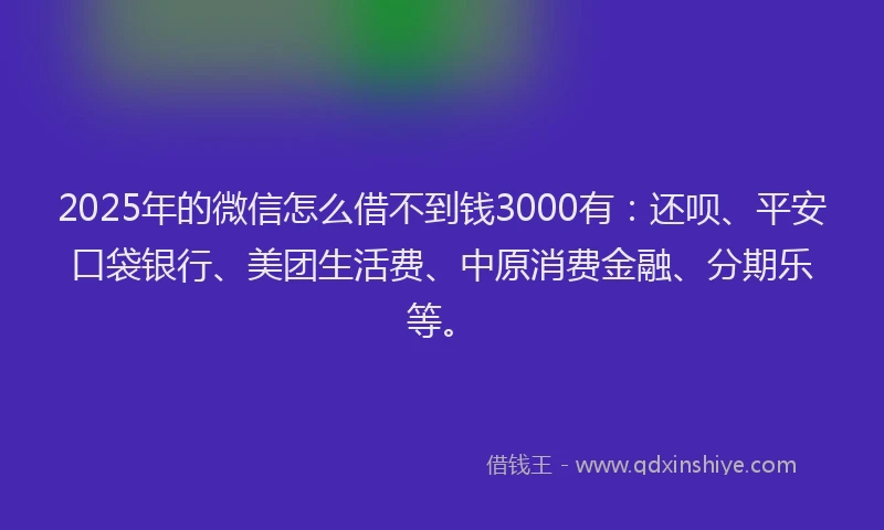 2025年的微信怎么借不到钱3000有：还呗、平安口袋银行、美团生活费、中原消费金融、分期乐等。