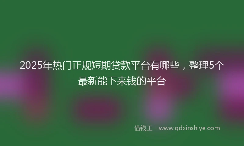 2025年热门正规短期贷款平台有哪些，整理5个最新能下来钱的平台