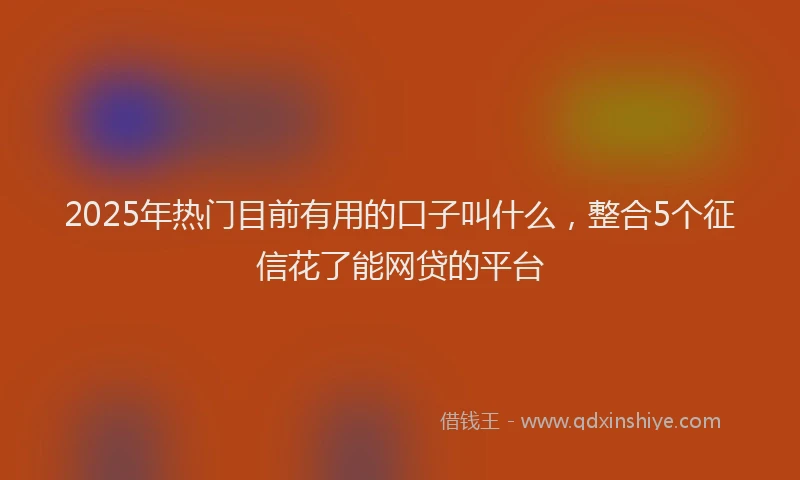 2025年热门目前有用的口子叫什么，整合5个征信花了能网贷的平台