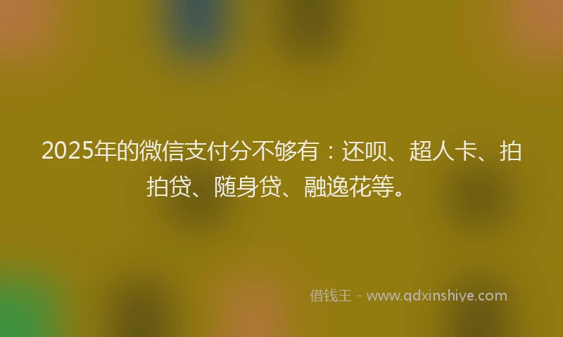 2025年的微信支付分不够有：还呗、超人卡、拍拍贷、随身贷、融逸花等。
