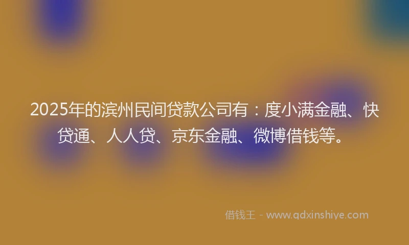 2025年的滨州民间贷款公司有：度小满金融、快贷通、人人贷、京东金融、微博借钱等。
