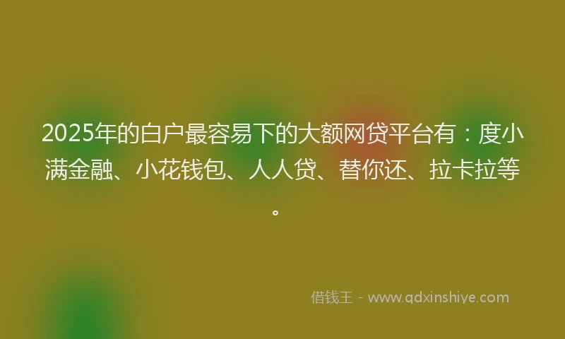 2025年的白户最容易下的大额网贷平台有：度小满金融、小花钱包、人人贷、替你还、拉卡拉等。