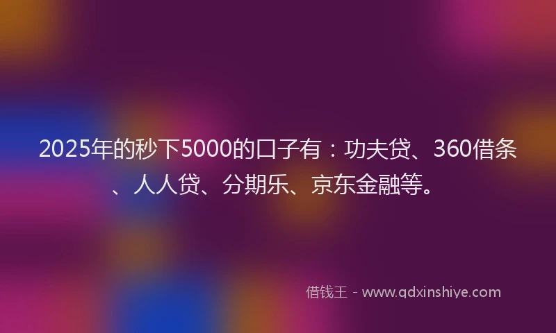 2025年的秒下5000的口子有：功夫贷、360借条、人人贷、分期乐、京东金融等。