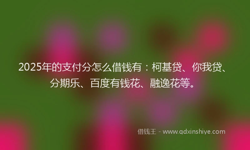 2025年的支付分怎么借钱有：柯基贷、你我贷、分期乐、百度有钱花、融逸花等。