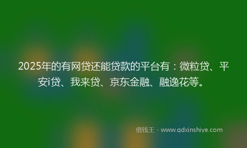 2025年的有网贷还能贷款的平台有：微粒贷、平安i贷、我来贷、京东金融、融逸花等。