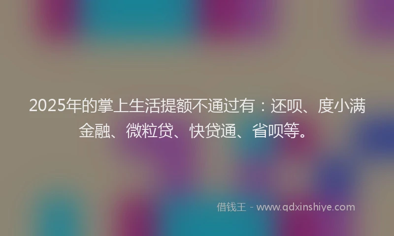 2025年的掌上生活提额不通过有：还呗、度小满金融、微粒贷、快贷通、省呗等。