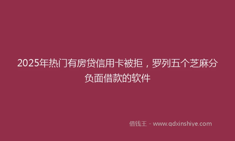 2025年热门有房贷信用卡被拒，罗列五个芝麻分负面借款的软件