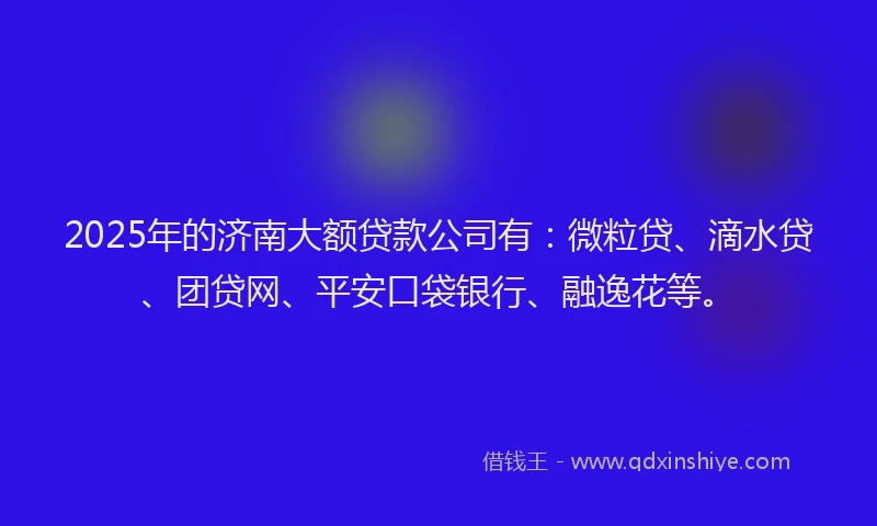 2025年的济南大额贷款公司有：微粒贷、滴水贷、团贷网、平安口袋银行、融逸花等。