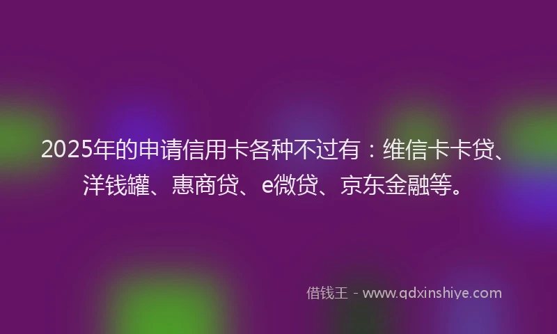 2025年的申请信用卡各种不过有：维信卡卡贷、洋钱罐、惠商贷、e微贷、京东金融等。