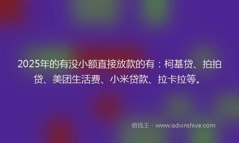 2025年的有没小额直接放款的有：柯基贷、拍拍贷、美团生活费、小米贷款、拉卡拉等。