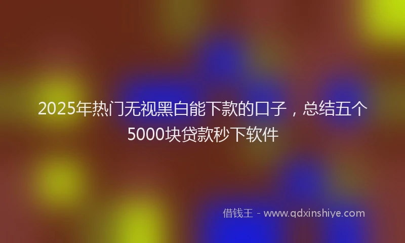 2025年热门无视黑白能下款的口子，总结五个5000块贷款秒下软件