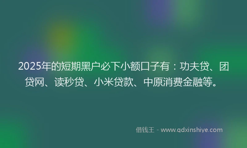 2025年的短期黑户必下小额口子有：功夫贷、团贷网、读秒贷、小米贷款、中原消费金融等。
