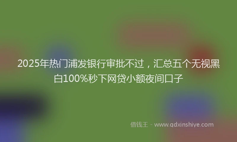 2025年热门浦发银行审批不过，汇总五个无视黑白100%秒下网贷小额夜间口子