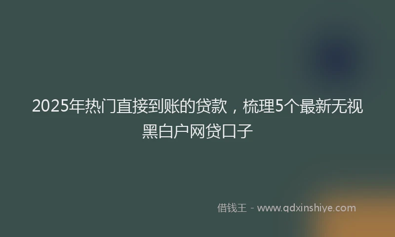 2025年热门直接到账的贷款，梳理5个最新无视黑白户网贷口子