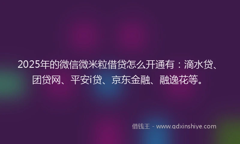 2025年的微信微米粒借贷怎么开通有：滴水贷、团贷网、平安i贷、京东金融、融逸花等。