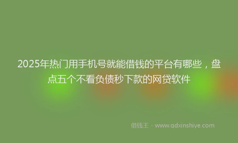 2025年热门用手机号就能借钱的平台有哪些，盘点五个不看负债秒下款的网贷软件