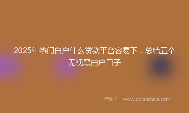 2025年热门白户什么贷款平台容易下，总结五个无视黑白户口子