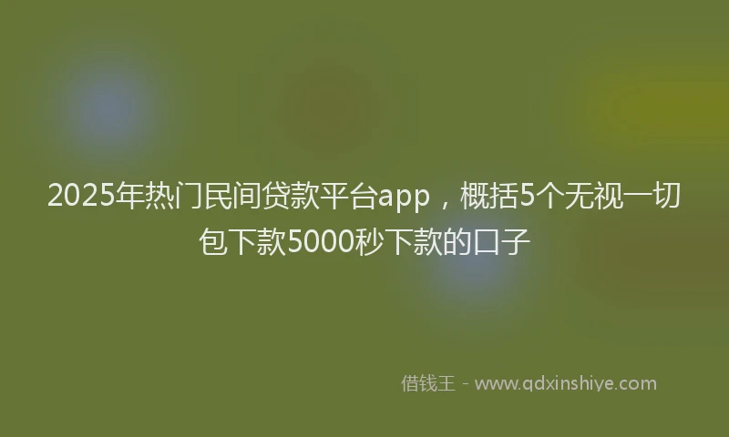 2025年热门民间贷款平台app，概括5个无视一切包下款5000秒下款的口子