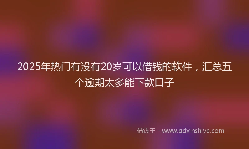 2025年热门有没有20岁可以借钱的软件，汇总五个逾期太多能下款口子