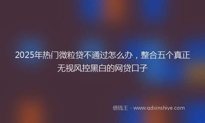 2025年热门微粒贷不通过怎么办，整合五个真正无视风控黑白的网贷口子