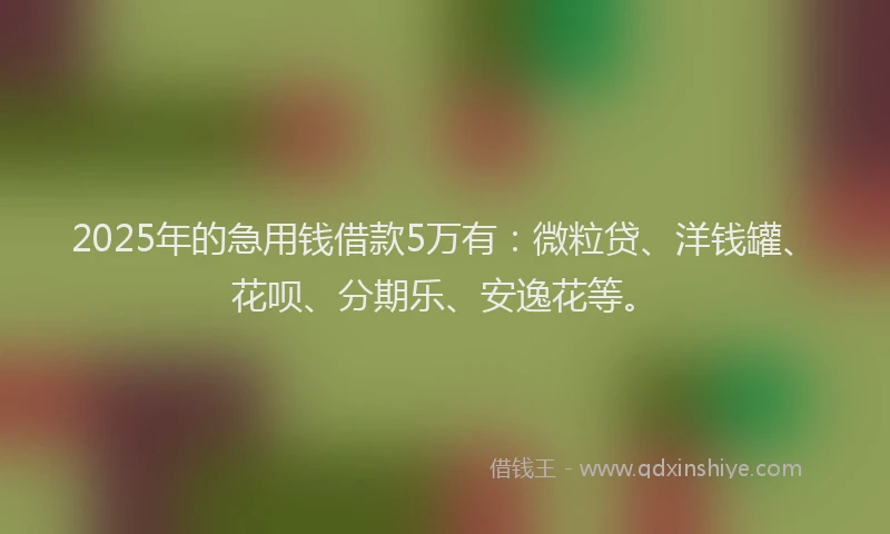 2025年的急用钱借款5万有：微粒贷、洋钱罐、花呗、分期乐、安逸花等。