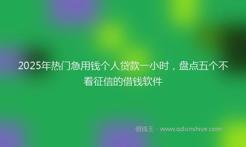 2025年热门急用钱个人贷款一小时，盘点五个不看征信的借钱软件