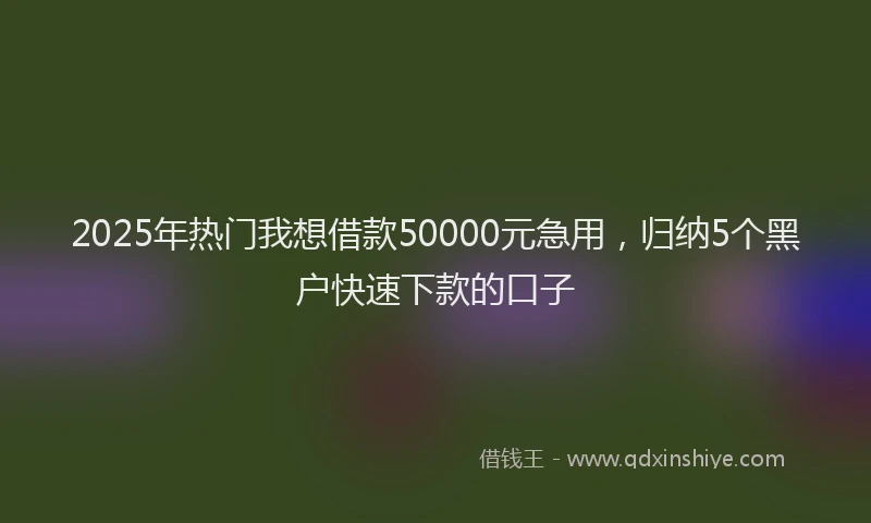 2025年热门我想借款50000元急用，归纳5个黑户快速下款的口子