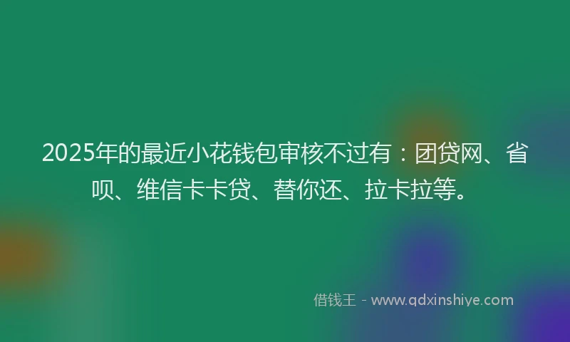 2025年的最近小花钱包审核不过有：团贷网、省呗、维信卡卡贷、替你还、拉卡拉等。