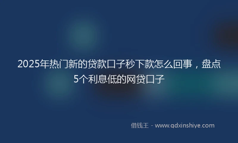 2025年热门新的贷款口子秒下款怎么回事，盘点5个利息低的网贷口子