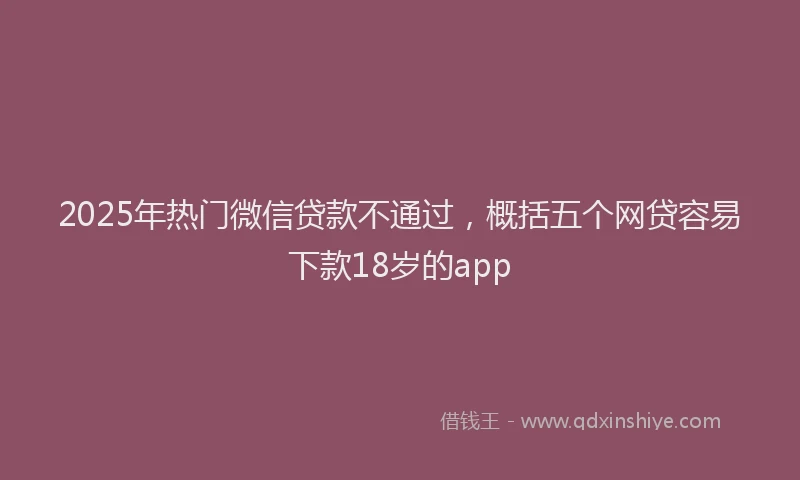 2025年热门微信贷款不通过，概括五个网贷容易下款18岁的app