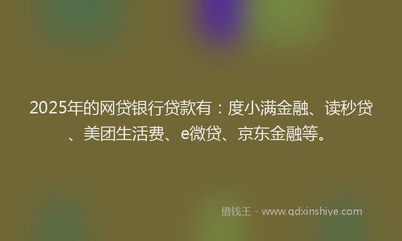 2025年的网贷银行贷款有：度小满金融、读秒贷、美团生活费、e微贷、京东金融等。