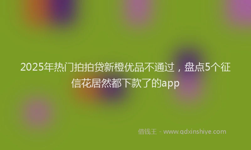 2025年热门拍拍贷新橙优品不通过，盘点5个征信花居然都下款了的app