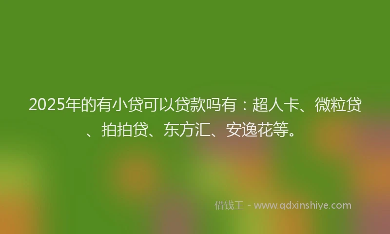 2025年的有小贷可以贷款吗有：超人卡、微粒贷、拍拍贷、东方汇、安逸花等。