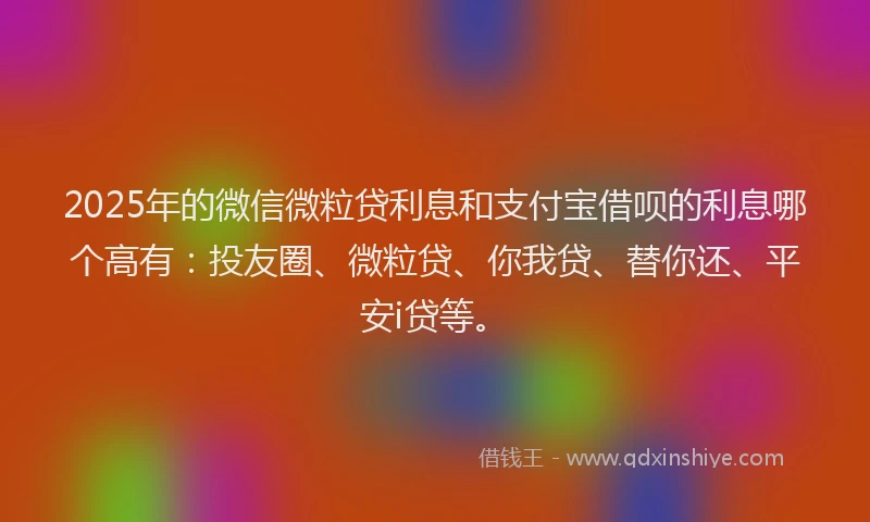 2025年的微信微粒贷利息和支付宝借呗的利息哪个高有：投友圈、微粒贷、你我贷、替你还、平安i贷等。