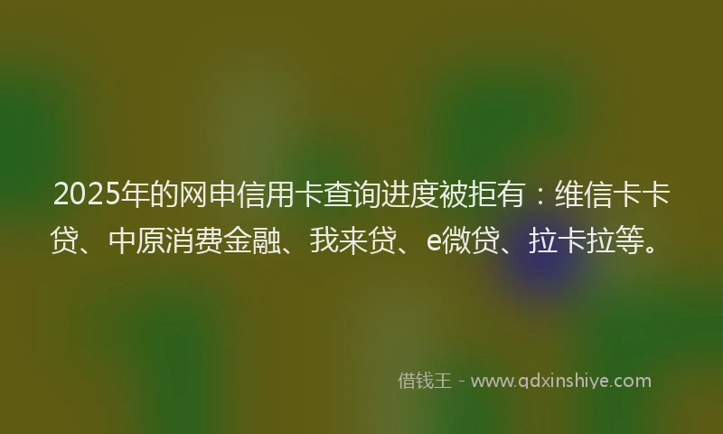 2025年的网申信用卡查询进度被拒有：维信卡卡贷、中原消费金融、我来贷、e微贷、拉卡拉等。