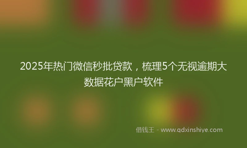 2025年热门微信秒批贷款，梳理5个无视逾期大数据花户黑户软件