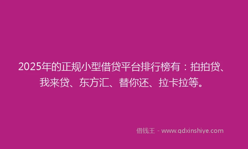 2025年的正规小型借贷平台排行榜有：拍拍贷、我来贷、东方汇、替你还、拉卡拉等。