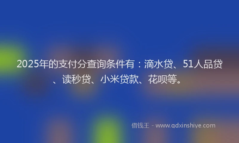 2025年的支付分查询条件有：滴水贷、51人品贷、读秒贷、小米贷款、花呗等。